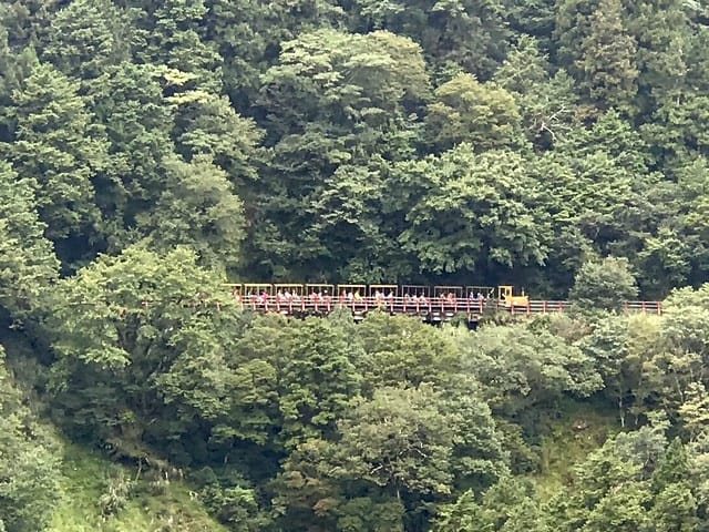 2019.08.17_蹦蹦車茂興歩道