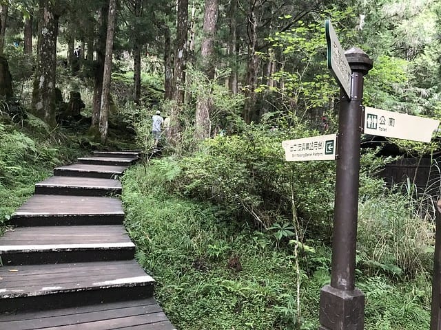 2019.08.17_太平山蹦蹦車茂興歩道