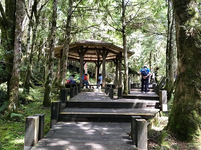 2019.08.17_太平山原始森林公園
