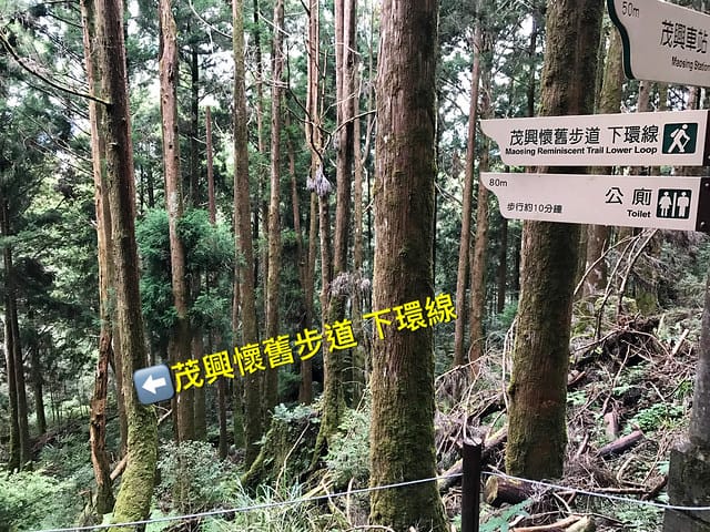 2019.08.17_太平山蹦蹦車茂興歩道