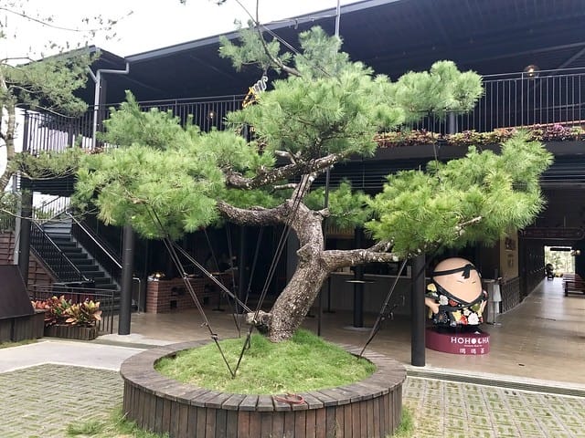 南投景點【Hohocha喝喝茶台灣香日月潭紅茶廠】熱門紅茶觀光工廠/每日限量免費奉茶奉蛋/紅茶導覽及揉茶DIY體驗及品茗活動等(需預約收費)/日月山莊可露營、山訓探索、獨木舟體驗、住宿等柚子