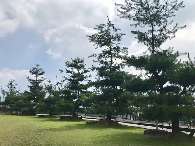 2019.09.13_HOHOCHA喝喝茶