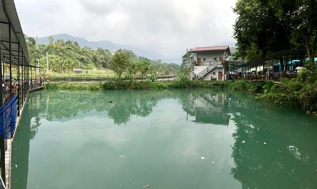 【南投_享樂玩家露營區】超卡娃伊又繽紛的馬卡龍哈比屋、釣魚控超愛的大魚池、小朋友最愛的戲水池沙坑溜滑梯/另有提供民宿/近魚池巿區採買方便/日月潭周邊景點多柚子芳姐_露營札記 2019.0