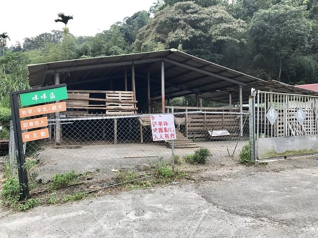 【南投_享樂玩家露營區】超卡娃伊又繽紛的馬卡龍哈比屋、釣魚控超愛的大魚池、小朋友最愛的戲水池沙坑溜滑梯/另有提供民宿/近魚池巿區採買方便/日月潭周邊景點多柚子芳姐_露營札記 2019.0