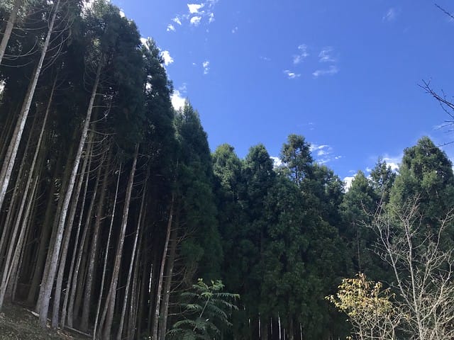 【新竹_好麻吉私房景點露營區】看見大自然瞬息萬變的景色,一切盡在不言中/可愛又繽紛彩色小木屋/小朋友最愛的戲水池沙坑等多樣遊樂設施/還有超刺激的滑草/置身如森林童話般的親子露營區
