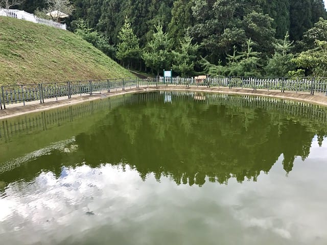 好麻吉露營區_魚池