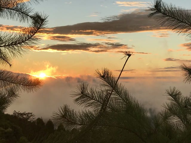 好麻吉露營區_景色