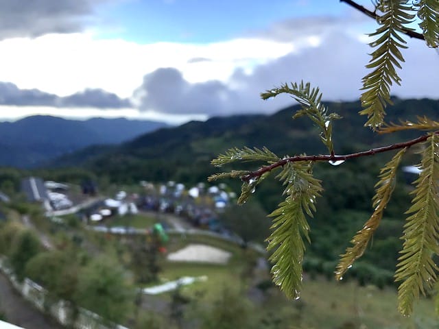 好麻吉露營區_景色