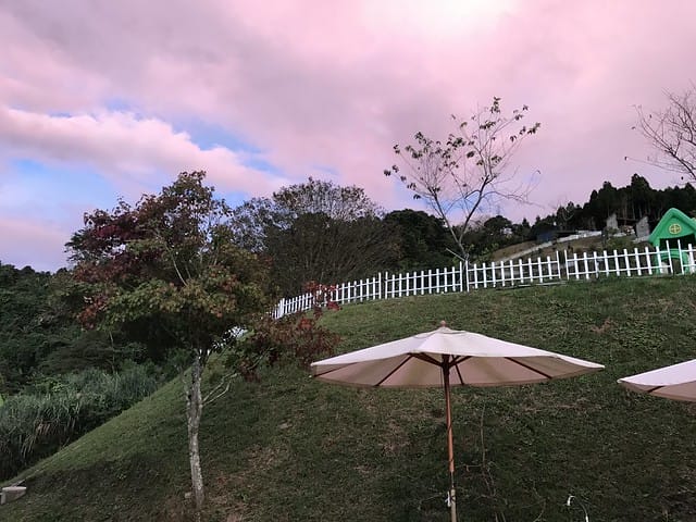 好麻吉露營區_景色
