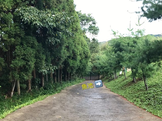 好麻吉露營區_魚池
