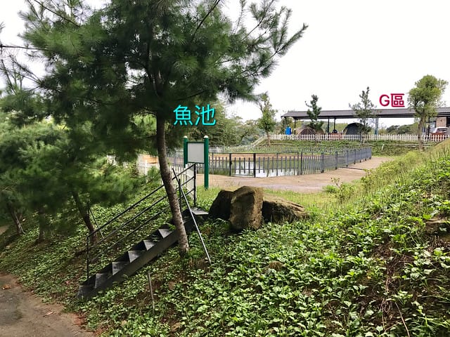 好麻吉露營區_魚池