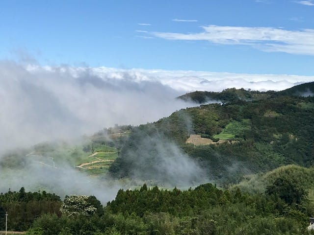 好麻吉露營區_景色