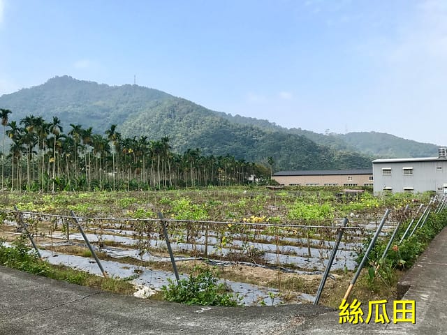 2019.09.14_泥炭土活盆地體驗