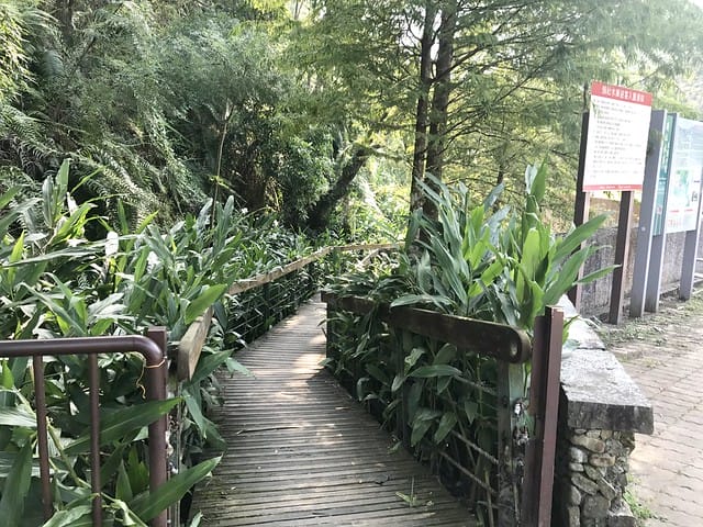 2019.09.14_頭社水庫及活盆地觀景民宿