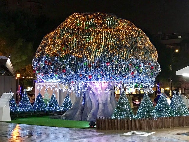 2019.11.14-新北市歡樂耶誕城