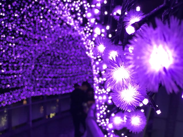2019.11.14-新北市歡樂耶誕城