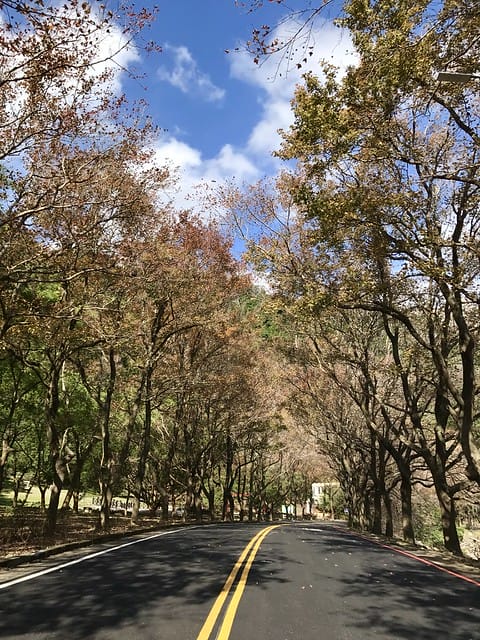 2019.12.23_石門水庫賞楓