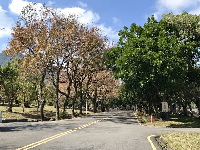2019.12.13_石門水庫賞楓