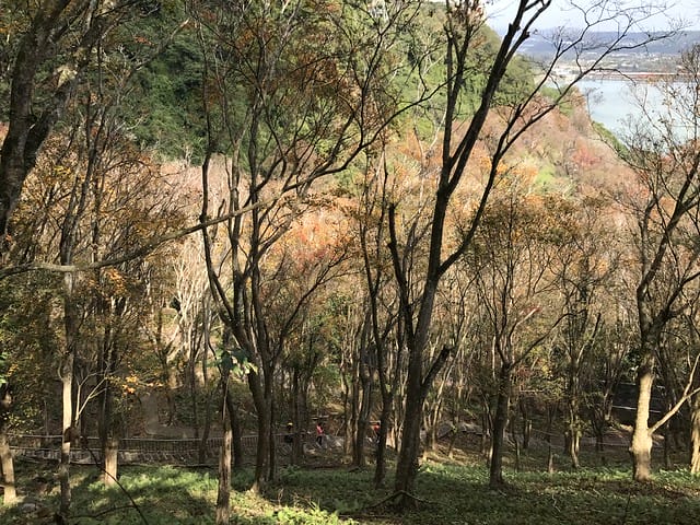 2019.12.13_石門水庫賞楓趣