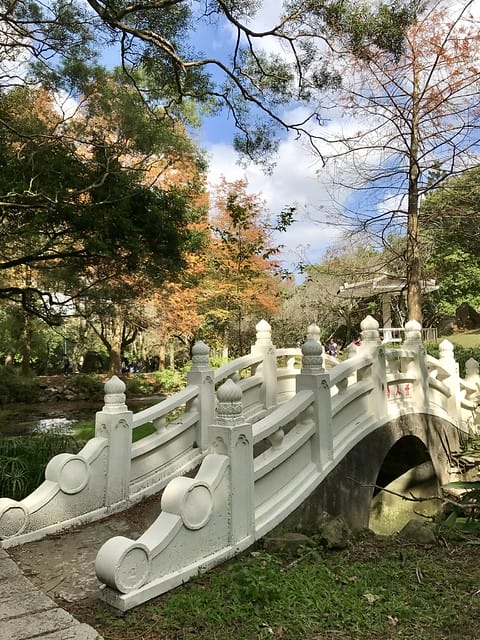 2019.12.13_石門水庫賞楓趣