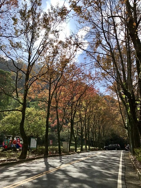 2019.12.13_石門水庫賞楓趣