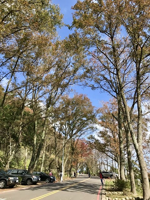 2019.12.13_石門水庫賞楓趣