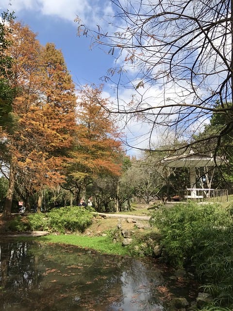 2019.12.13_石門水庫賞楓趣