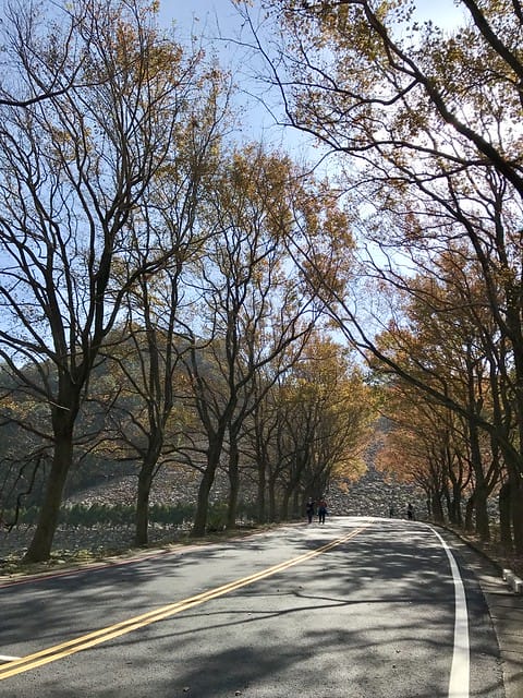 2019.12.23_石門水庫賞楓