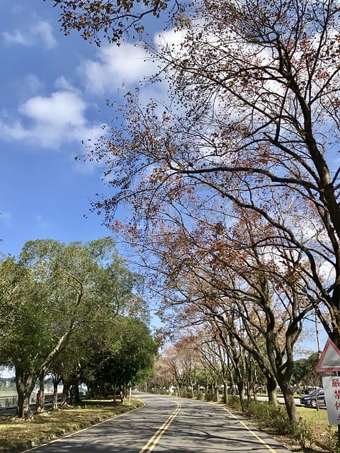 2019.12.13_石門水庫賞楓
