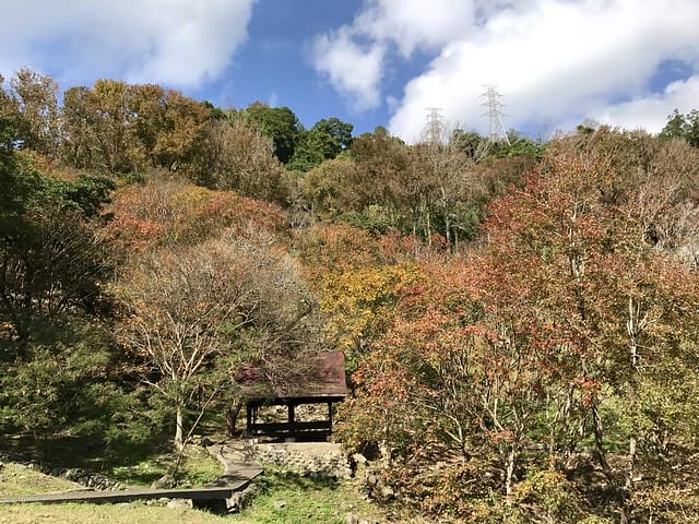 2019.12.13_石門水庫賞楓趣