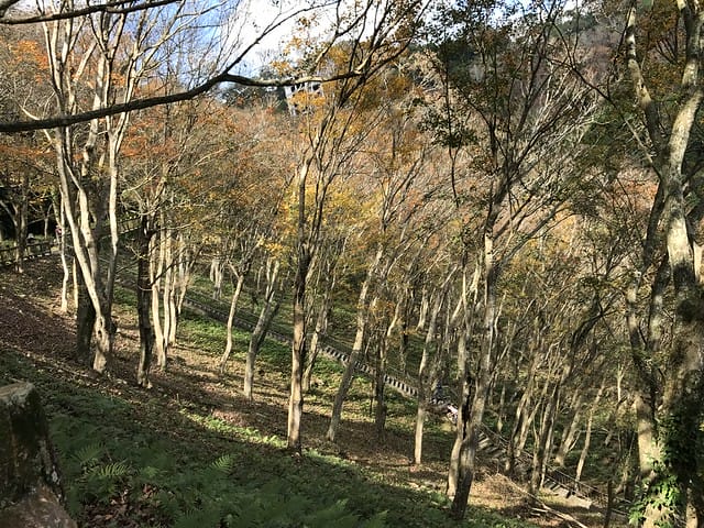 2019.12.13_石門水庫賞楓趣