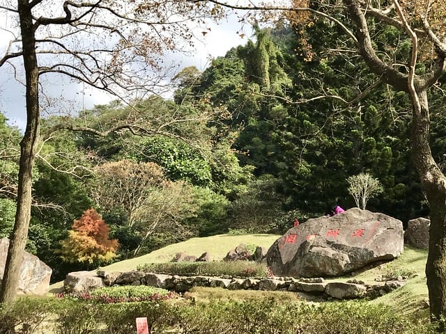 2019.12.13_石門水庫賞楓趣