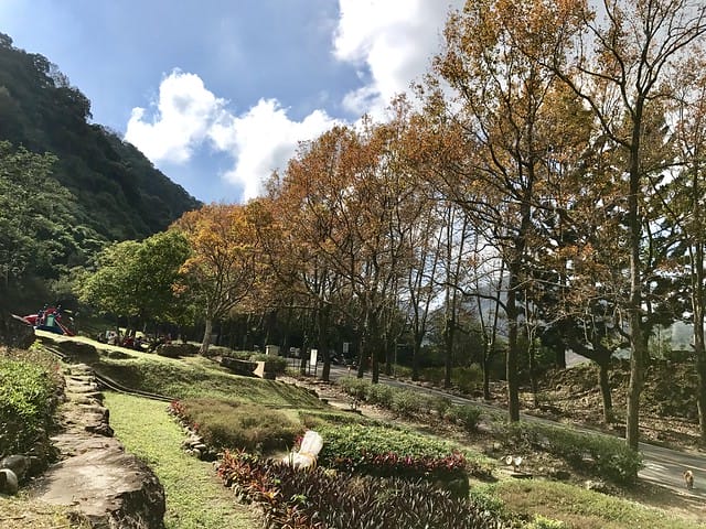 2019.12.13_石門水庫賞楓趣