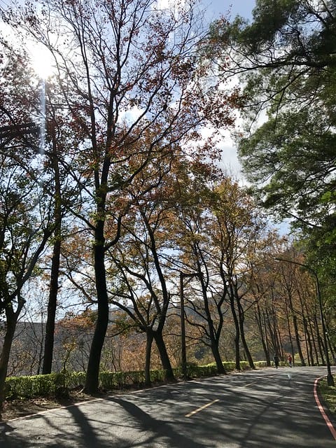 2019.12.13_石門水庫賞楓趣