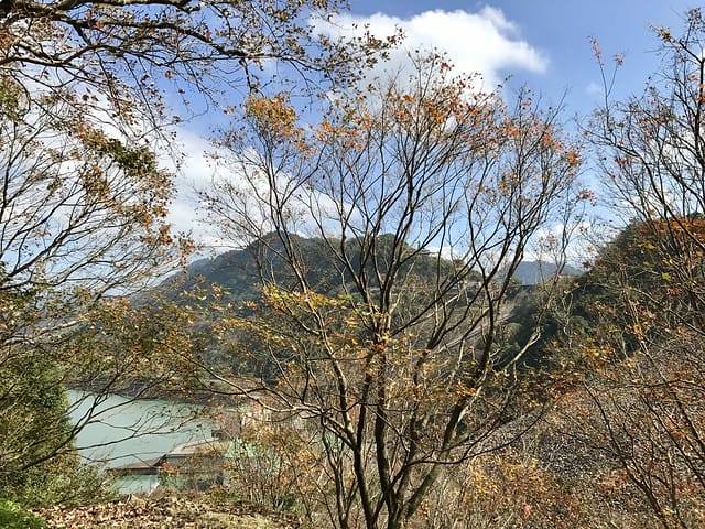 2019.12.13_石門水庫賞楓趣