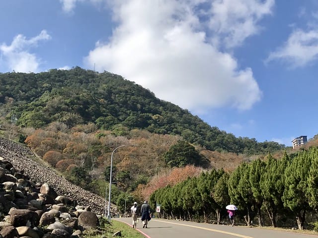 2019.12.23_石門水庫賞楓