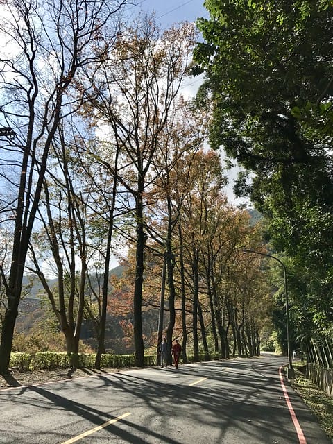 2019.12.13_石門水庫賞楓趣