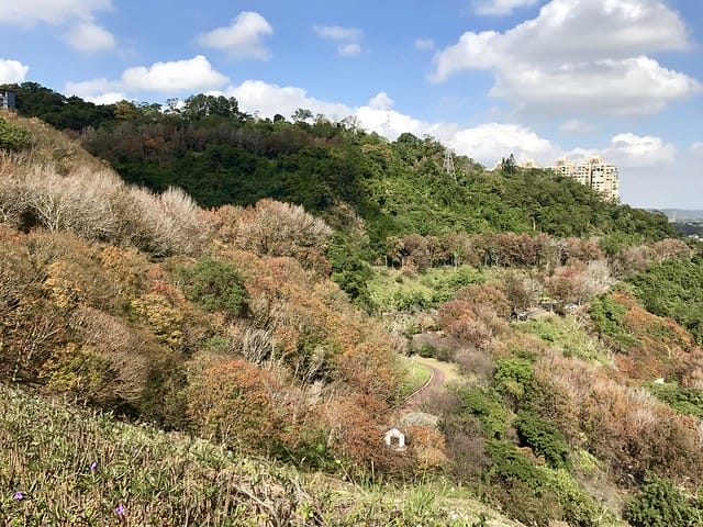 2019.12.13_石門水庫賞楓趣