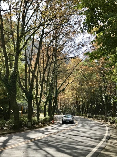 2019.12.13_石門水庫賞楓趣
