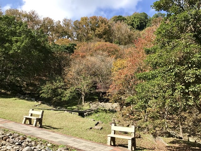 2019.12.23_石門水庫賞楓