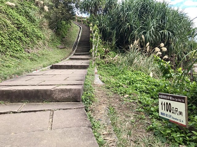 【新北景點】鼻頭角步道如台版小萬里長城、海岸稜線絶美景色盡收眼底!/聽濤營區山谷中迷彩營區、夢幻般彩虹階梯!/鼻頭角漁港聽海觀浪、品嚐海鮮/基隆海洋廣場欣賞老鷹覓食秀/搭公車也能
