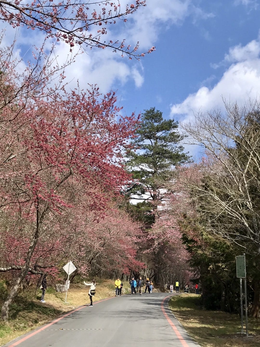 3A7FE09C-56B1-45F9-88B1-D118BF500F65L0001--IMG_1358.JPG.jpg
