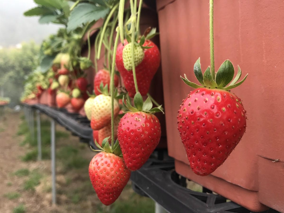 FBD773B6-3175-485E-B93B-1CD25B3CA93FL0001--IMG_2953.JPG.jpg