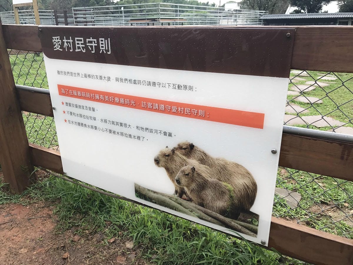 605566CC-A190-4B21-9CE1-7D77857E8EB1L0001--IMG_6178.JPG.jpg