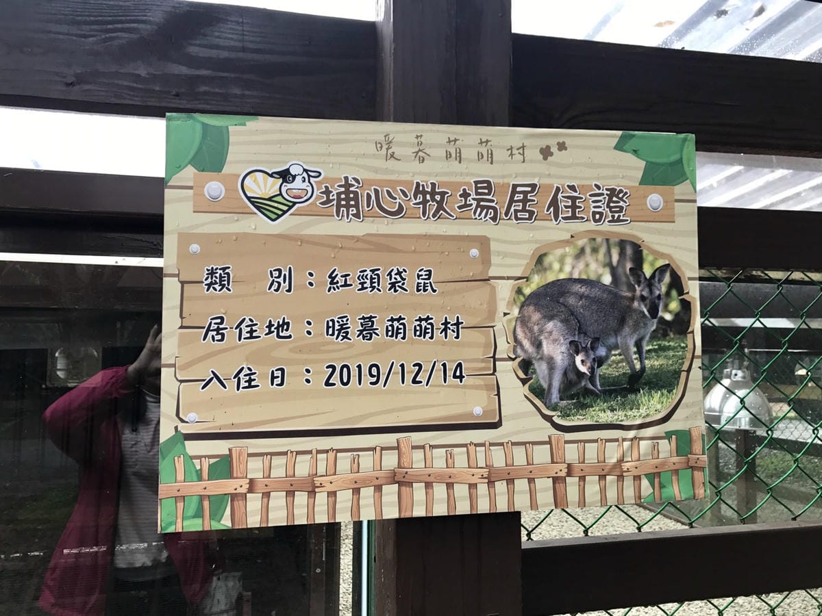 88C66177-6667-4EEF-8FC7-AA518238C3D0L0001--IMG_6230.JPG.jpg