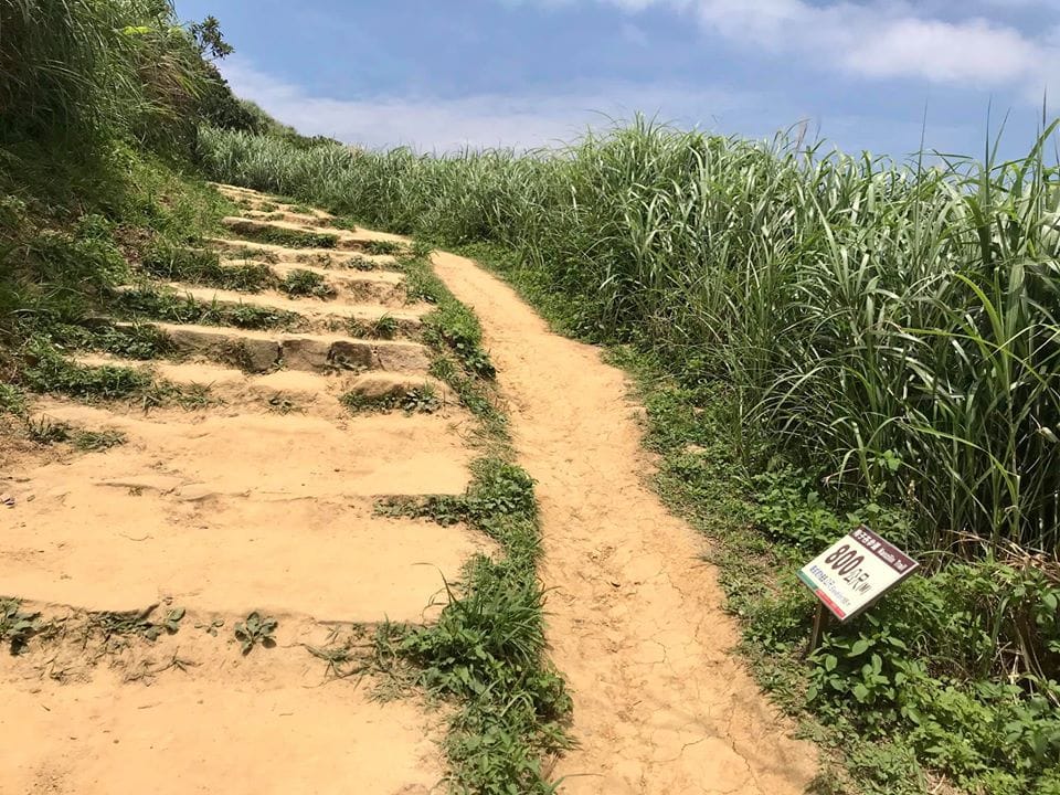 95219350_3112700705418382_3030283264813170688_o.jpg