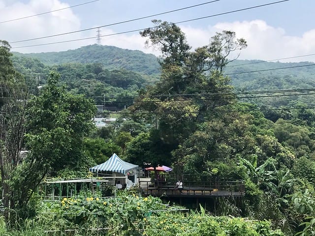 【台北內湖景點】夢幻紫色白石湖吊橋、浪漫的同心池、如號角響起的鐵砲百合、清新高雅的牡丹蓮盛開啦!還有夫妻樹/一處隱藏在台北近郊的後花園、假日出遊、戶外踏青、健行好去處柚子芳 - 第64張圖 白石湖