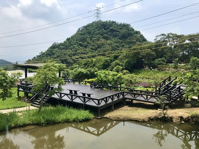 【台北內湖景點】夢幻紫色白石湖吊橋、浪漫的同心池、如號角響起的鐵砲百合、清新高雅的牡丹蓮盛開啦!還有夫妻樹/一處隱藏在台北近郊的後花園、假日出遊、戶外踏青、健行好去處柚子芳 - 第77張圖 白石湖