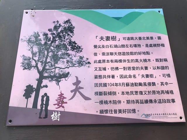 【台北內湖景點】夢幻紫色白石湖吊橋、浪漫的同心池、如號角響起的鐵砲百合、清新高雅的牡丹蓮盛開啦!還有夫妻樹/一處隱藏在台北近郊的後花園、假日出遊、戶外踏青、健行好去處柚子芳 - 第68張圖 白石湖