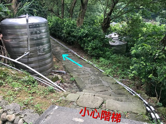 【台北內湖景點】夢幻紫色白石湖吊橋、浪漫的同心池、如號角響起的鐵砲百合、清新高雅的牡丹蓮盛開啦!還有夫妻樹/一處隱藏在台北近郊的後花園、假日出遊、戶外踏青、健行好去處柚子芳 - 第20張圖 白石湖吊橋同心池